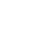 AIG logo